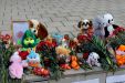 Трагедия в Кемерово. Брюховецкая скорбит img_2056