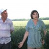 Инна Герасименко рассказала участникам объезда полей о качестве высеваемых семян на полях Брюховецкого района