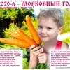 Славянский календарь, 2020-й - Морковный год