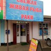 zhivaya-ryba-bryuhovetskaya