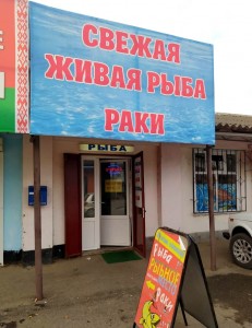 zhivaya-ryba-bryuhovetskaya